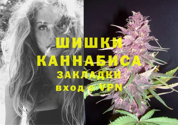 твердый Краснослободск