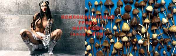 не бодяженный Краснотурьинск