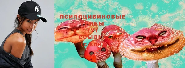 твердый Краснослободск