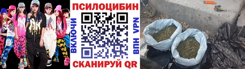 Галлюциногенные грибы Magic Shrooms  купить наркотик  Чулым 